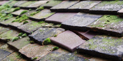 Balderton roof repair costs
